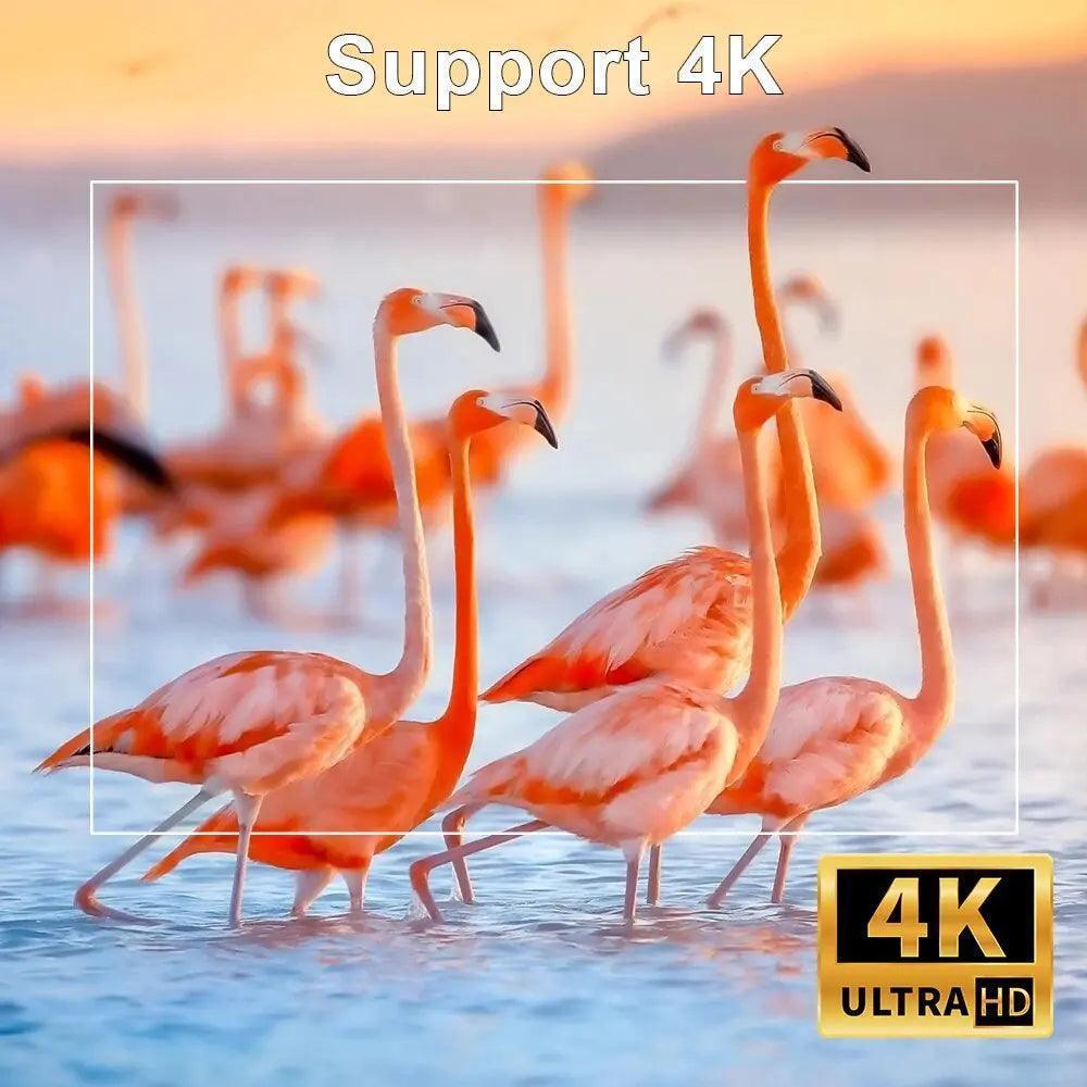 جهاز عرض ذكي يعمل بنظام Android 11 بدقة 4K – تجربة مسرح منزلي لا مثيل لها